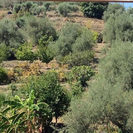 كالاتابيانو B&B Domus Candida المظهر الخارجي الصورة
