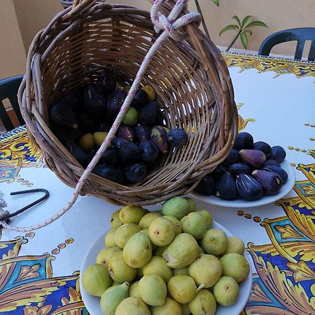 كالاتابيانو B&B Domus Candida المظهر الخارجي الصورة